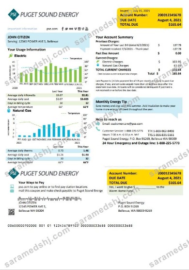 USA Washington Puget Sound Energy utility bill template in Word and PDF format